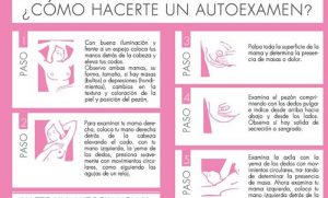 autoexamen-ok
