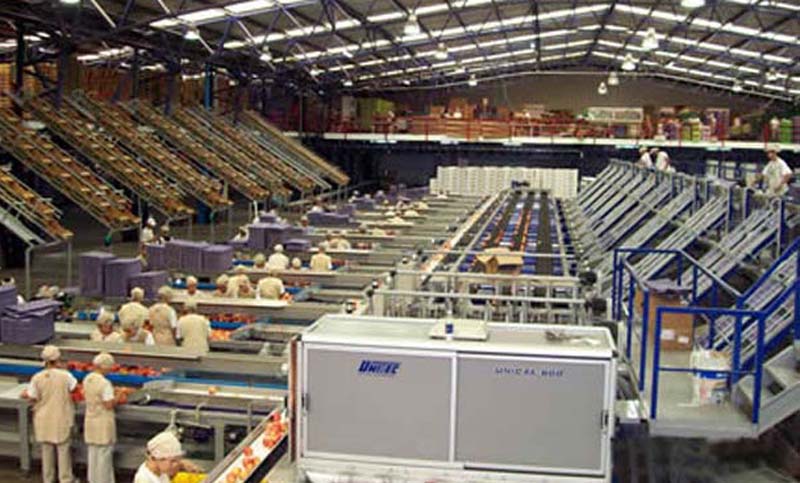 Dura advertencia del gobierno rionegrino a la empresa Expofrut