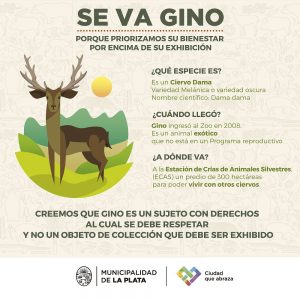 gino2