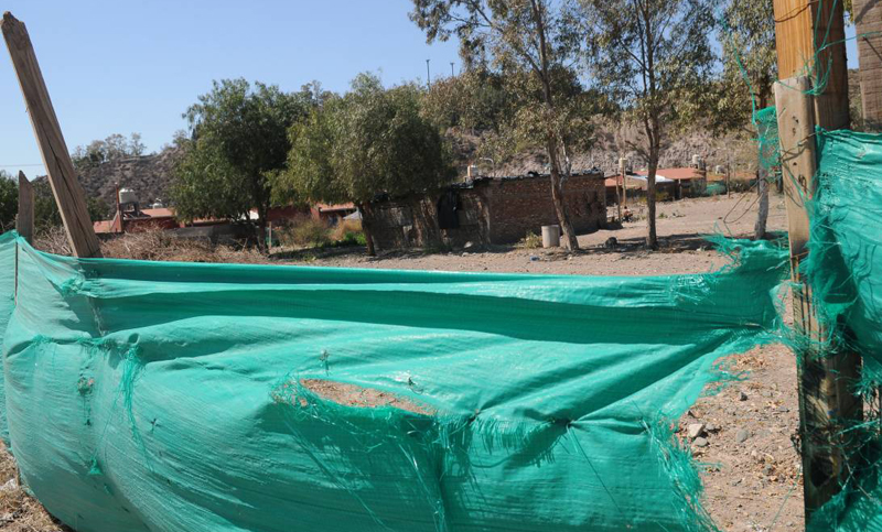 Hallan el cuerpo de una adolescente de 15 años en un descampado en Mendoza