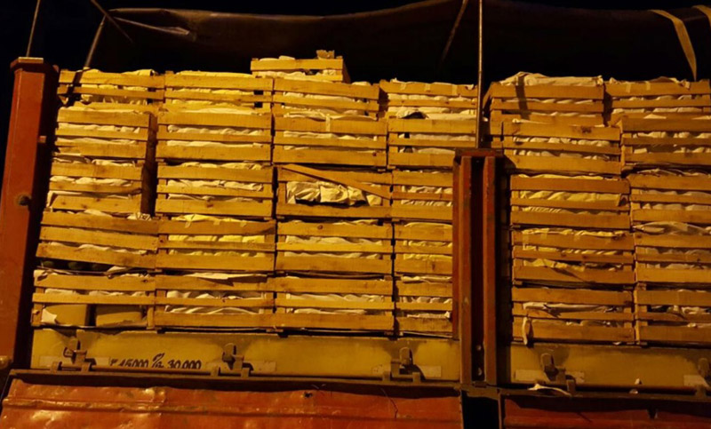 En un mega operativo, las fuerzas federales incautaron 2500 kilos de marihuana