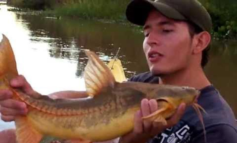 Se acerca el 23º Concurso Provincial de Pesca del Armado en Arroyo Seco