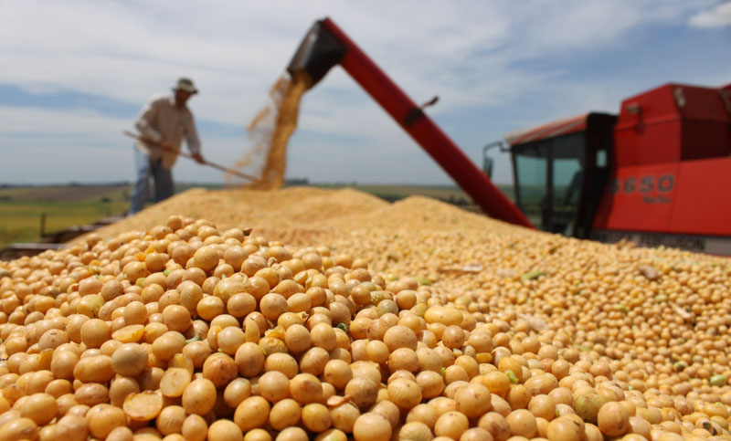 Con mermas de rinde de hasta 58%, la cosecha de soja sigue por el tobogán
