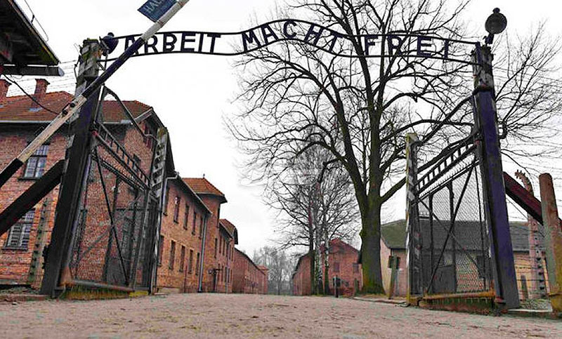 Los objetos abandonados cerca de Auschwitz salen poco a poco a la luz