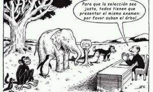 animales-examen