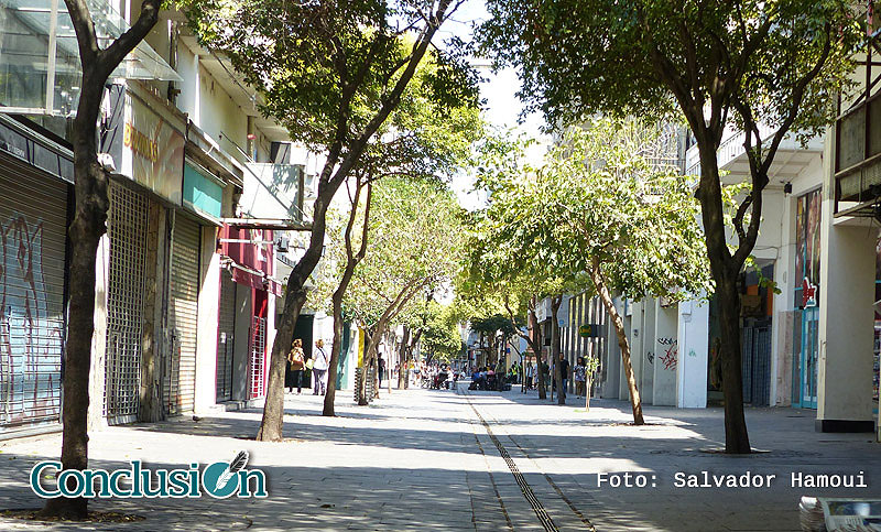 Se conocerán las ofertas económicas para remodelar calle Maipú