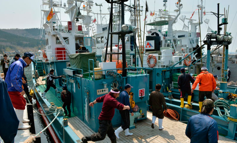 Dos balleneros japoneses zarpan hacia la Antártida