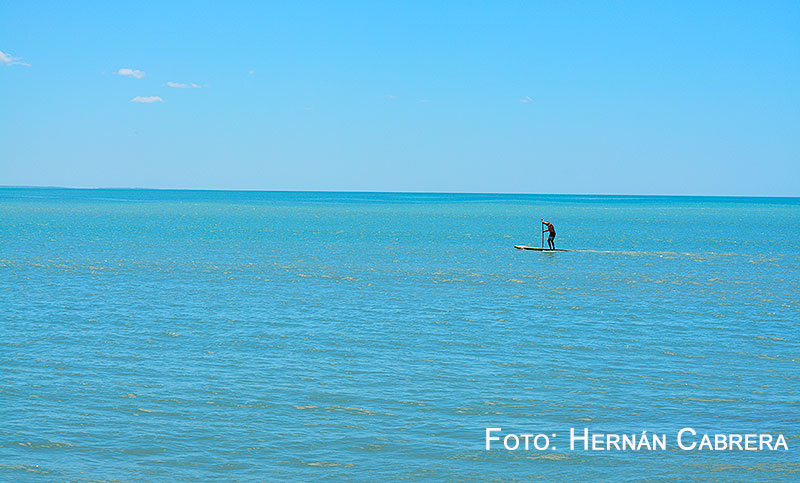 En la inmensidad del mar….