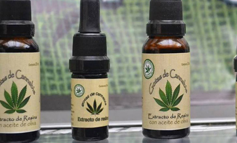 Diputados: media sanción al proyecto que autoriza aceite de cannabis para uso medicinal
