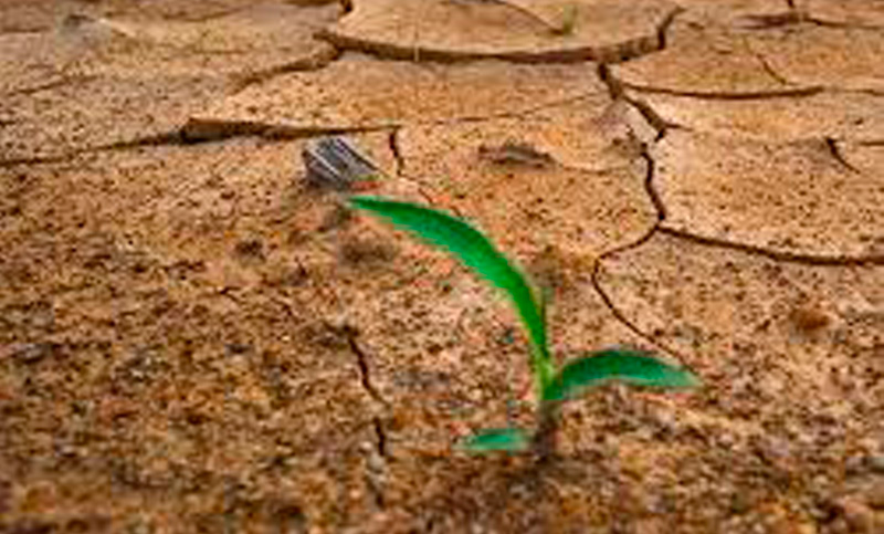 ONU: hay preocupación por el cambio climático