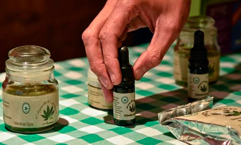 Ordenan a obra social dar aceite de cannabis a discapacitado
