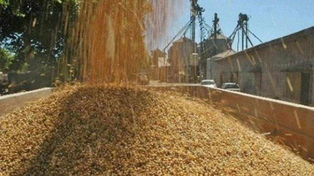 Secuestran mercadería de un acopio de cereales en Acebal por irregularidades