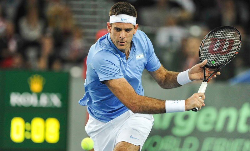 Se cumplió la lógica: Del Potro le ganó a Ivo Karlovic y logró la igualdad en la serie final