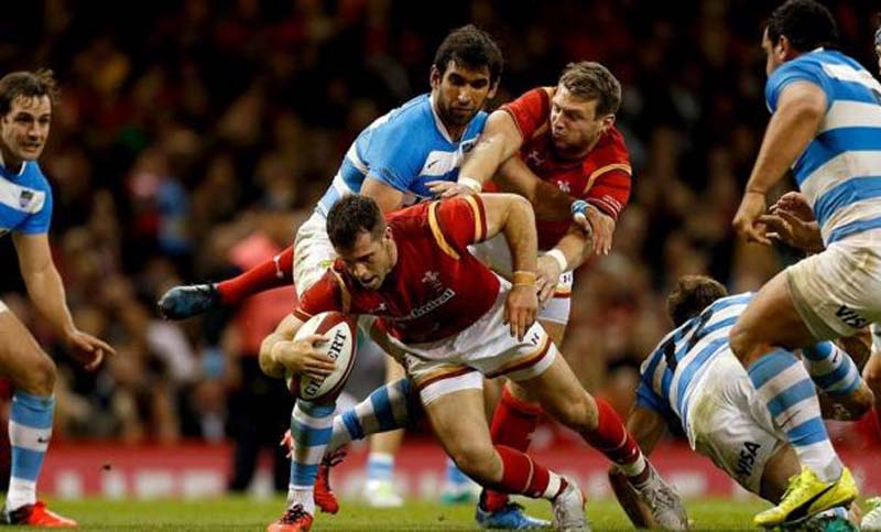 Los Pumas bajaron el rendimiento y perdieron ajustadamente con Gales