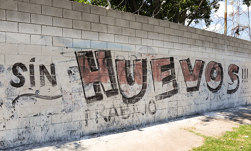 Independiente, en llamas: hubo pintadas en contra de los jugadores