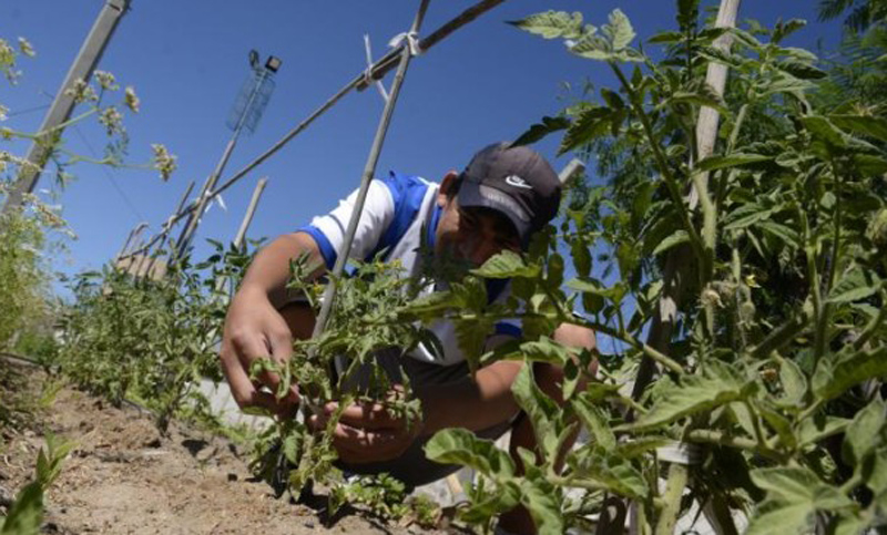 La Uatre, el campo y el sistema penitenciario contendrán a internos penales