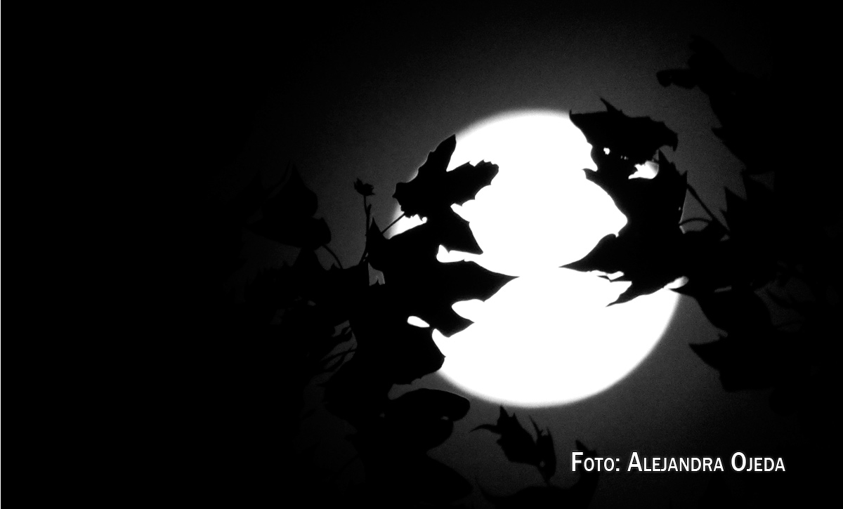 Huye luna, luna… si vinieran los gitanos,  harían con tu corazón  collares y anillos blancos…. Federico García Lorca