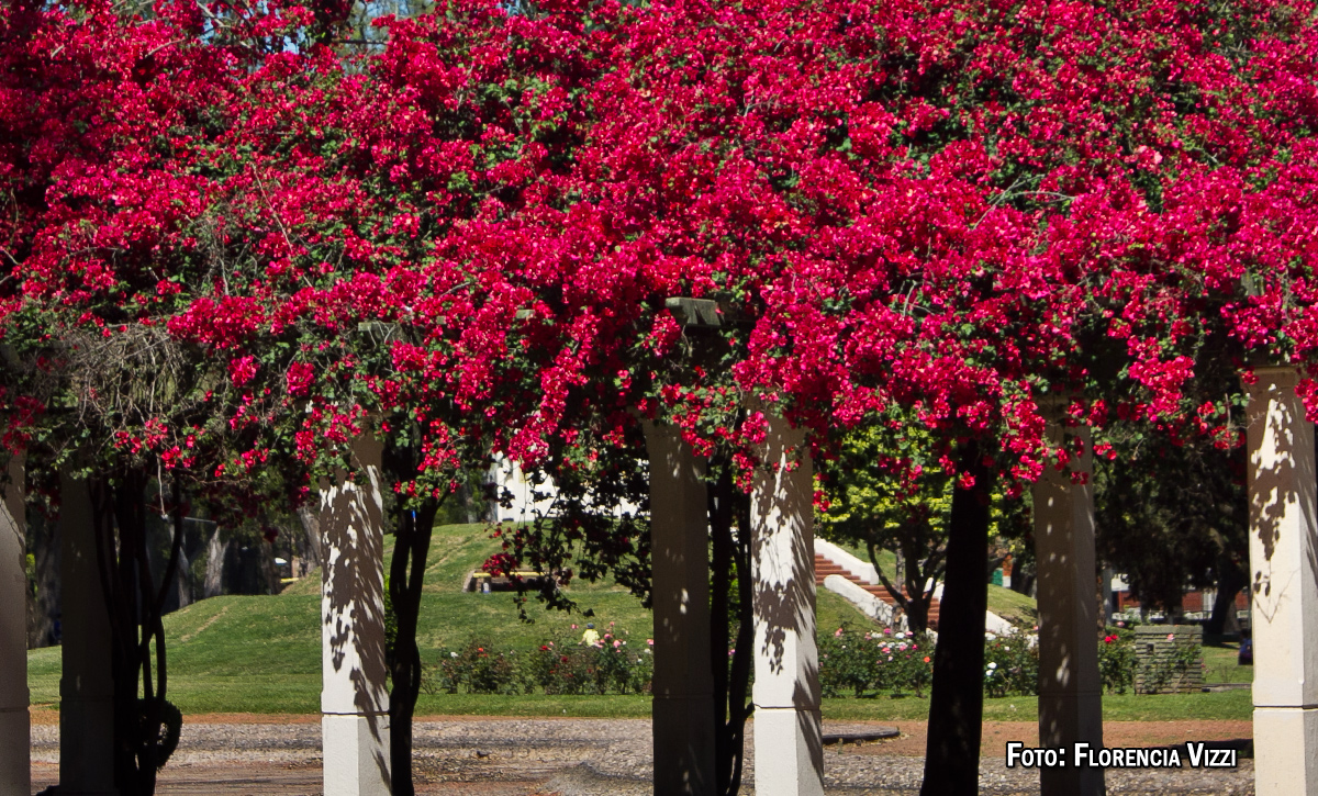 Mañanas de luz y color… magia en la ciudad…