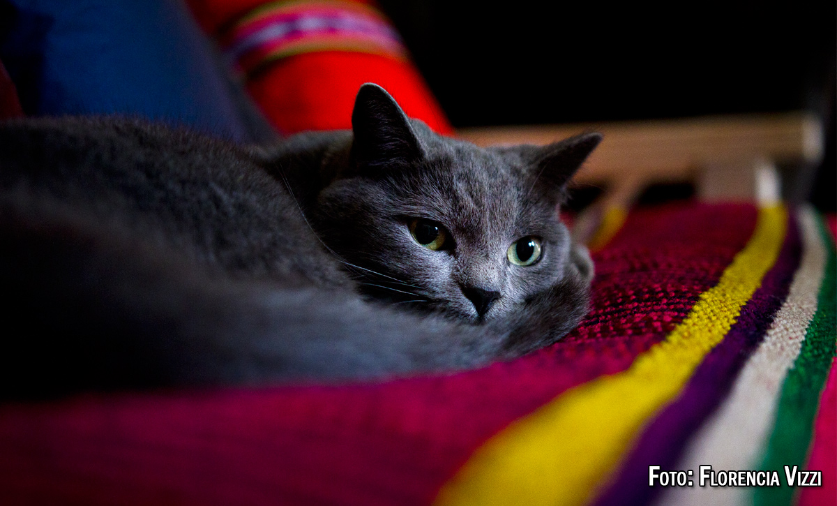 Ocio de domingo…