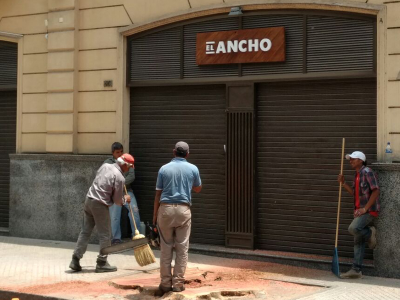 Exigirán resarcimiento ambiental al dueño de un inmueble que quitó un árbol