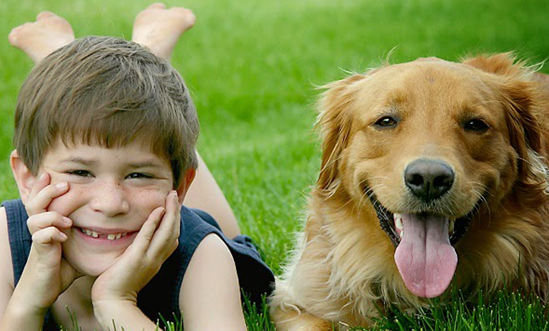 Estudios demuestran que los perros recuerdan lo que hacen las personas