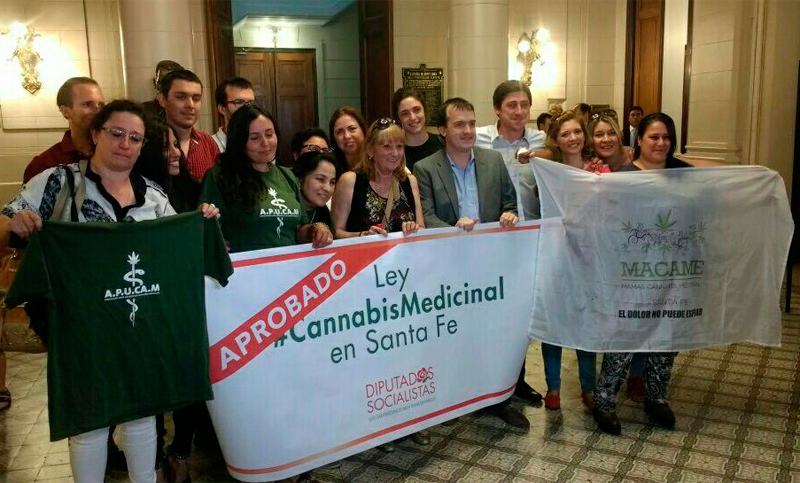 La Legislatura provincial convirtió en ley el uso del cannabis medicinal