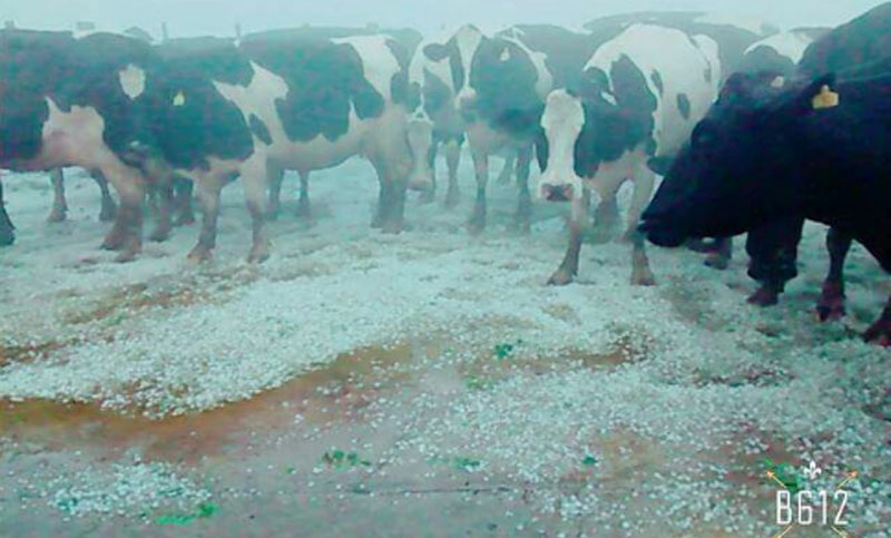 Un temporal generó serios daños en varios pueblos de Santa Fe