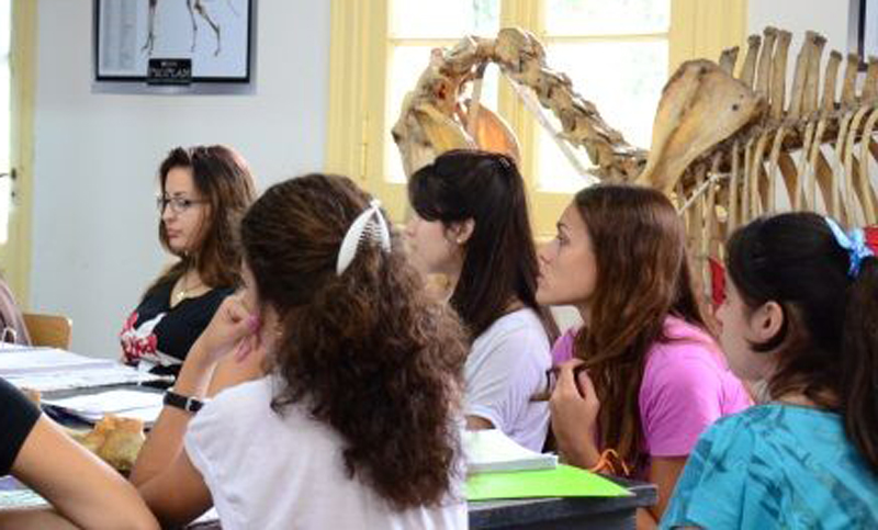 Reinan las mujeres: hay mayoría femenina en las carreras de la UNR