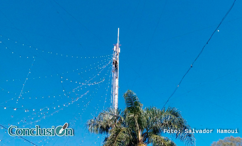 Se acerca la Navidad y el tradicional árbol de Oroño empieza a cobrar vida