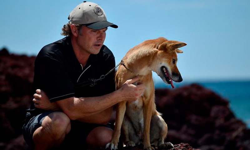 La moda de tener especies exóticas como mascotas se extiende en Australia