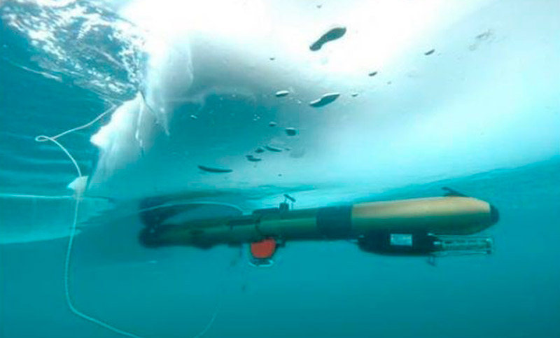 Un robot graba la vida bajo el hielo en la Antártida