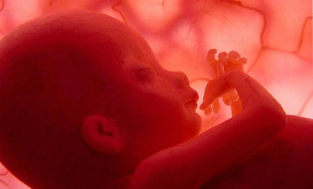 Desde hoy, fecundar hijos de tres progenitores genéticos es legal en Reino Unido