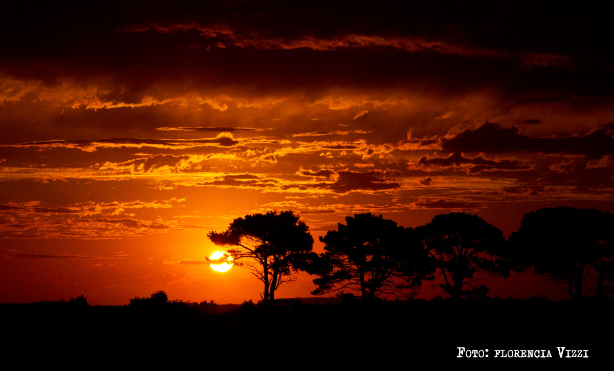Verano a contraluz…