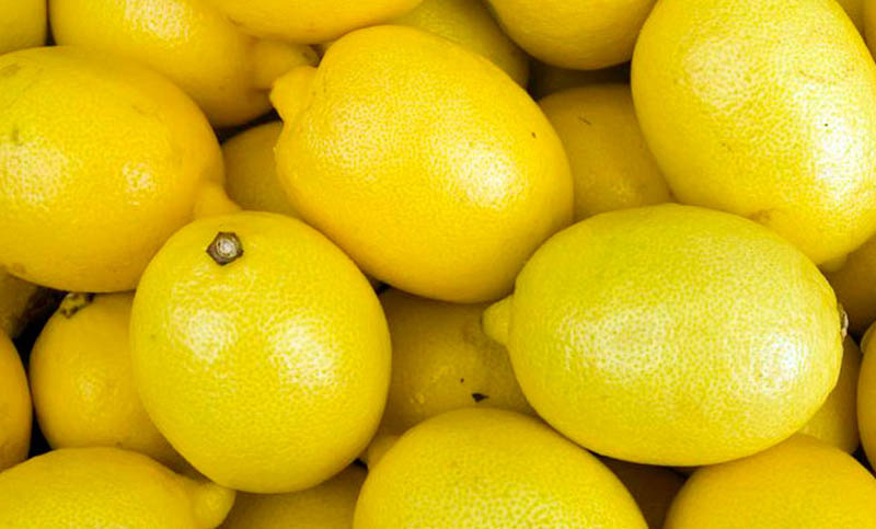 Ya es oficial: limones argentinos en Estados Unidos