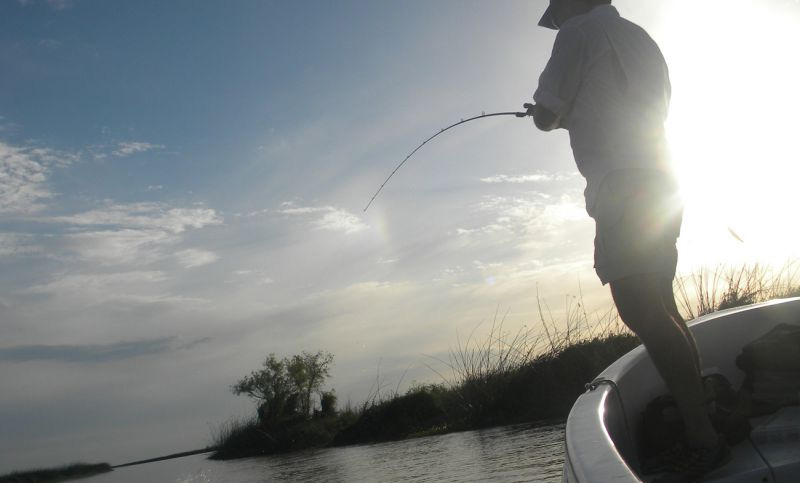 Habrá audiencia pública para fijar cupos de exportación para la pesca de río