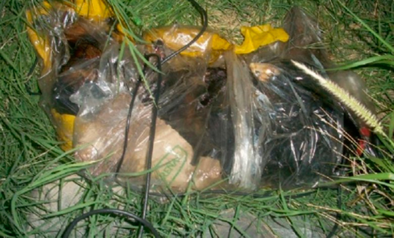 Maltrato animal: hallan cadáveres de perros y gatos torturados