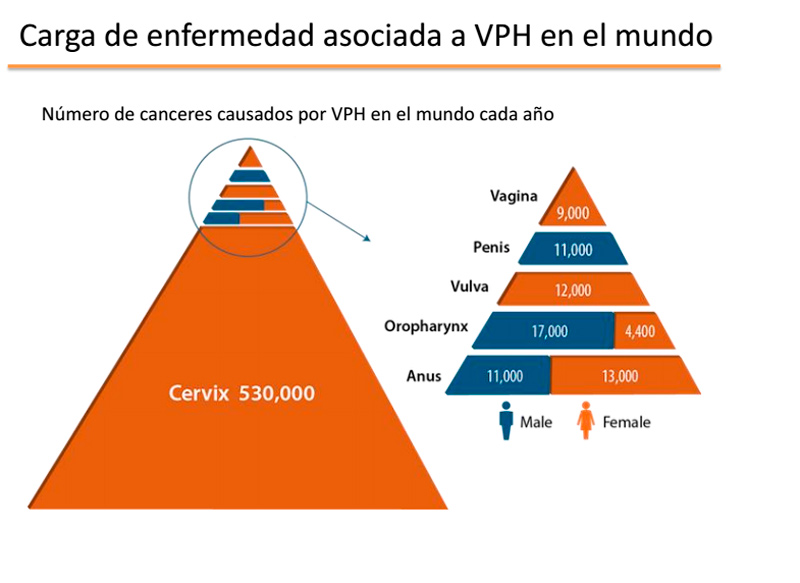 grafico-2