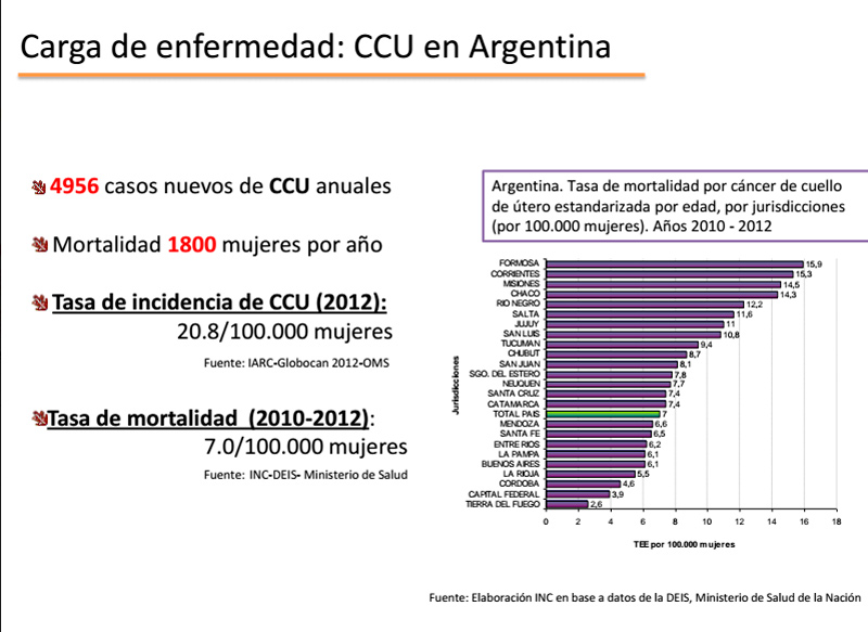 grafico-3