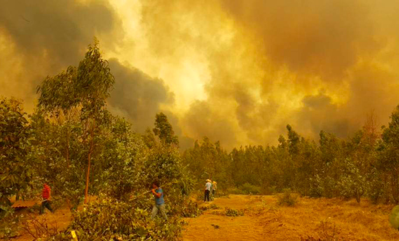 Incendios forestales acorralan zona central de Chile