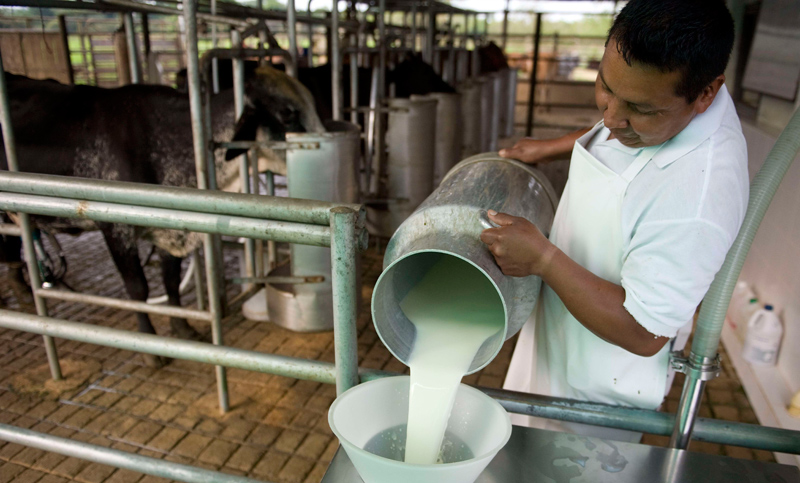 El sector lácteo acordó un aumento salarial del 15% en dos tramos