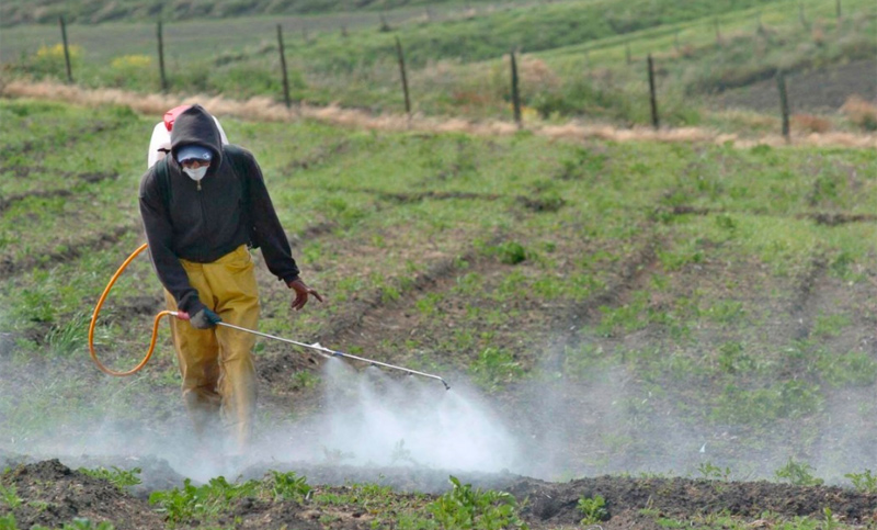 Agroquímicos y fertilizantes: creció el consumo casi un 50% en 2016