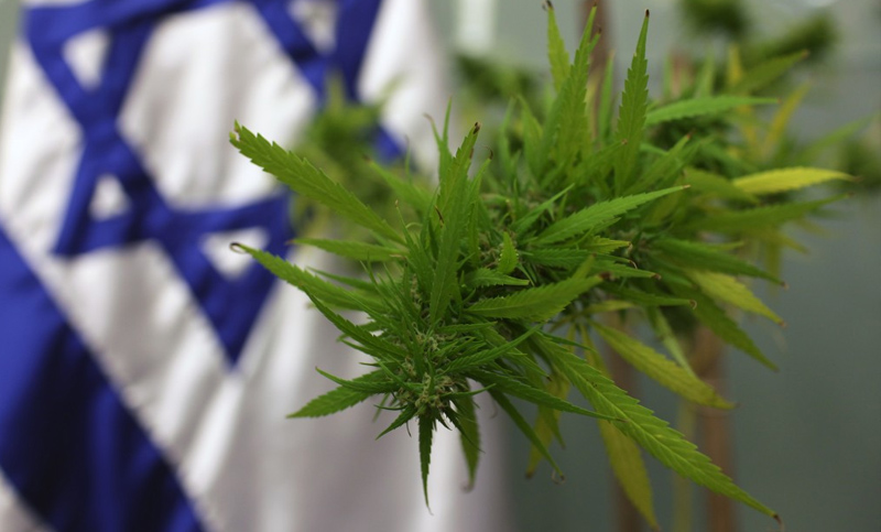 Israel se encamina hacia una despenalización del consumo de cannabis