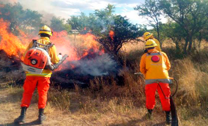 Un millón de hectáreas afectadas por incendios en la zona centro y sur del país