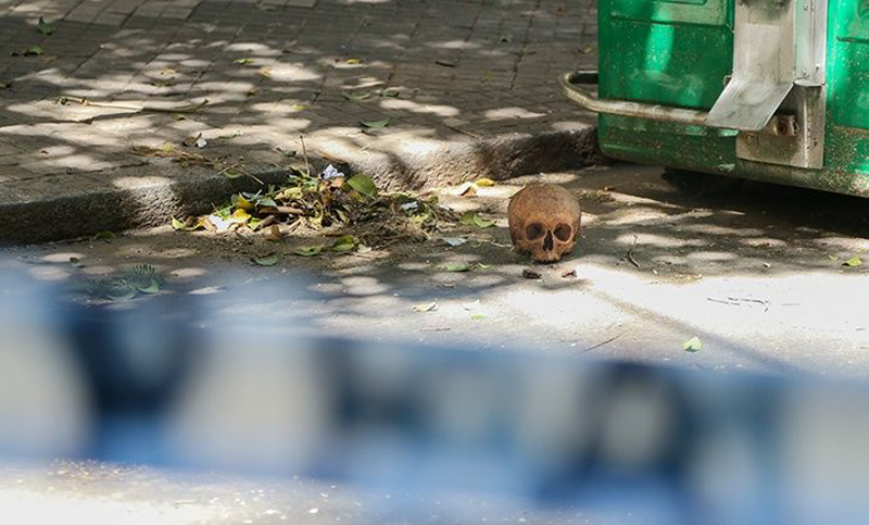 Insólito: un hombre encontró un craneo dentro un contenedor