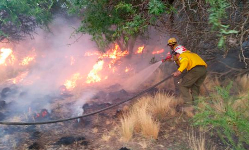 Tormenta eléctrica generó nuevo foco de incendios forestales en La Pampa