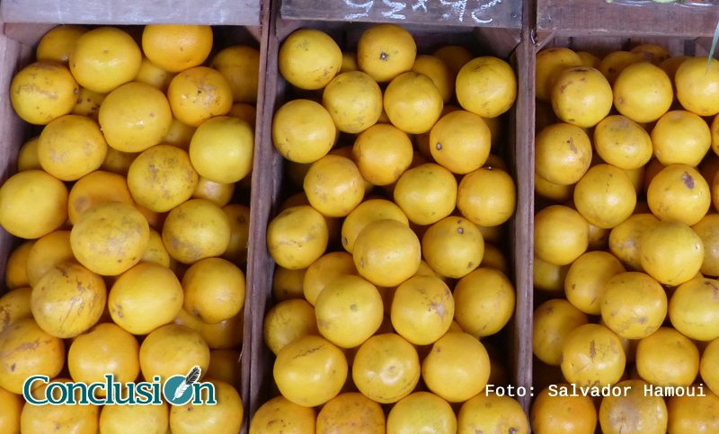 Las exportaciones de limón a Estados Unidos comenzarán recién en 2018