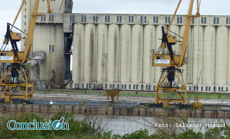 Nueva compra de soja a Estados Unidos: ya van casi 600.000 toneladas
