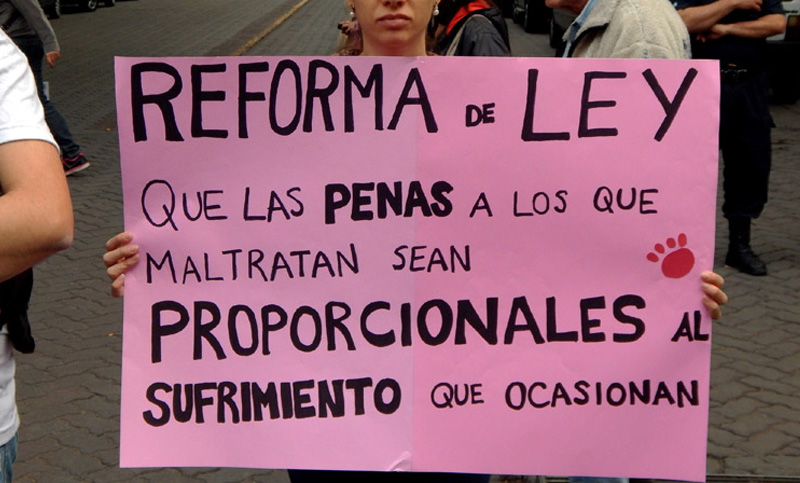 Marcha al Congreso para exigir la reforma de la Ley Penal de Protección Animal