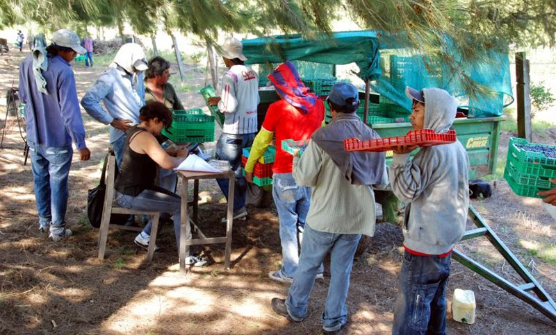 Denuncian trabajo infantil en una zona rural cercana a Rosario