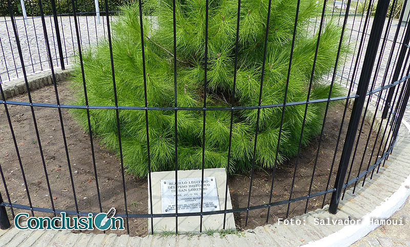 Hijuelo del Pino Salvador